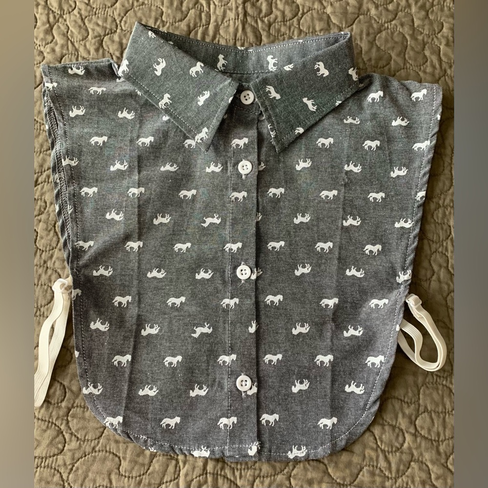 Shirt insert
